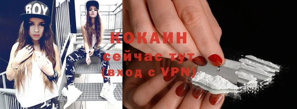 стаф Гусев