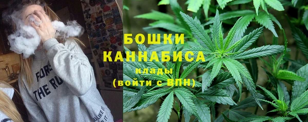 гашик Горно-Алтайск