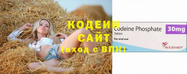 стаф Гусев