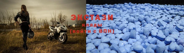 стаф Гусев