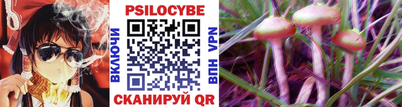 Галлюциногенные грибы Psilocybe  Купить  Когалым 